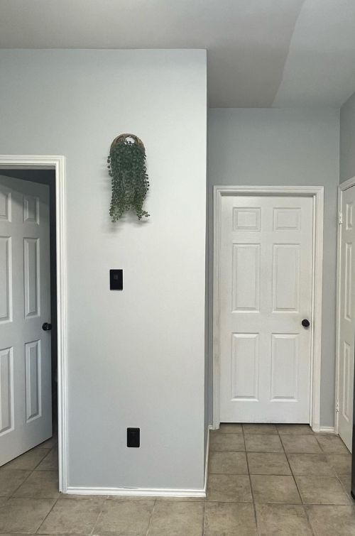 A modern walls and doors showcasing trending color schemes and finishes.